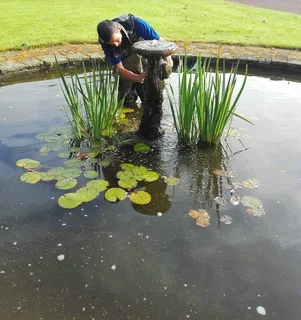 Expert Care for Clear, Healthy, and Beautiful Garden Ponds